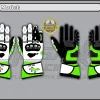Motorbike Racing GlovesMotorbike Racing Gloves