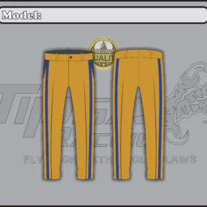 Fashion Leather Pants   (TPR-FLP-006)